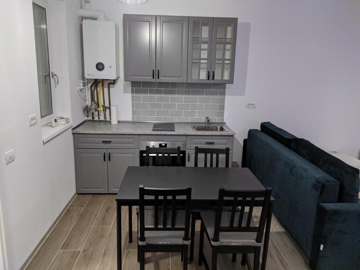 Alina'S Deluxe Apartment And Free Private Parking Dumbravita  Exteriör bild